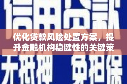 沙雅优化贷款风险处置方案，提升金融机构稳健性的关键策略