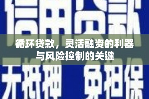 定结循环贷款，灵活融资的利器与风险控制的关键