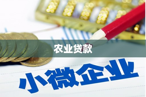 鹤庆农业贷款