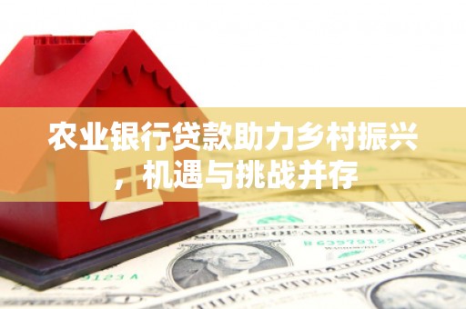项城农业银行贷款助力乡村振兴，机遇与挑战并存