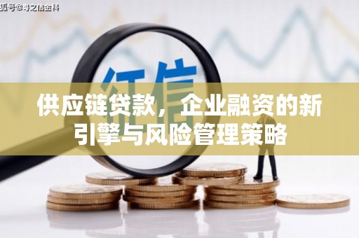 桥东供应链贷款，企业融资的新引擎与风险管理策略