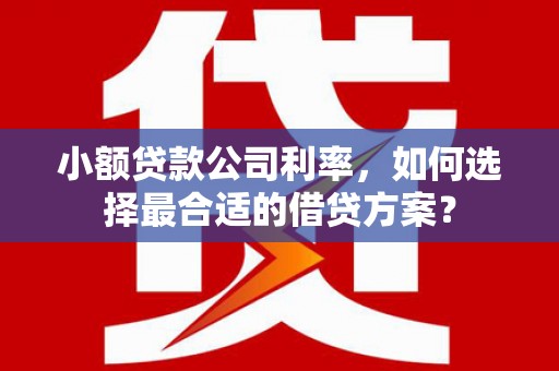 田阳小额贷款公司利率，如何选择最合适的借贷方案？
