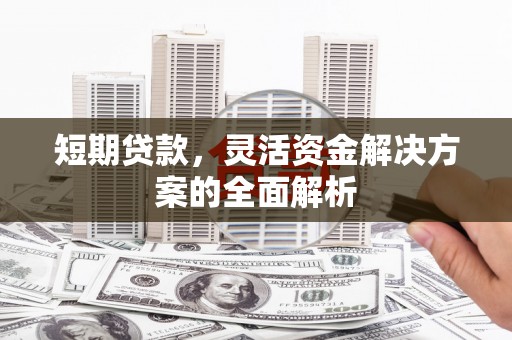 博野短期贷款，灵活资金解决方案的全面解析