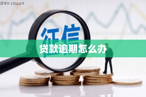 凌海贷款逾期怎么办