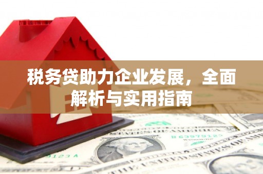 美浓税务贷助力企业发展，全面解析与实用指南