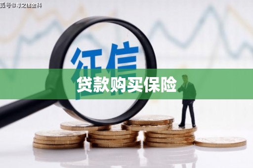 罗东贷款购买保险