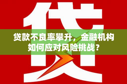 拉萨贷款不良率攀升，金融机构如何应对风险挑战？