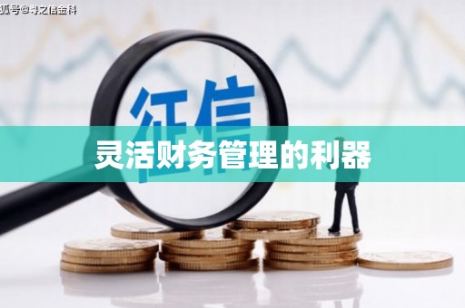 顺河灵活财务管理的利器