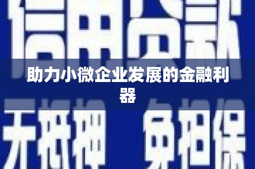 隰县助力小微企业发展的金融利器