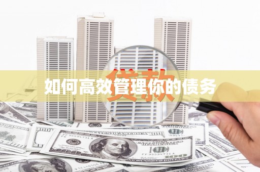 芦淞如何高效管理你的债务