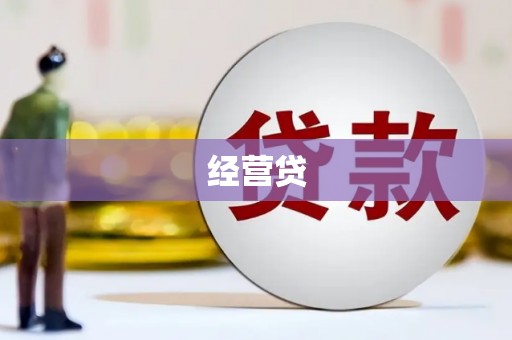 临安经营贷