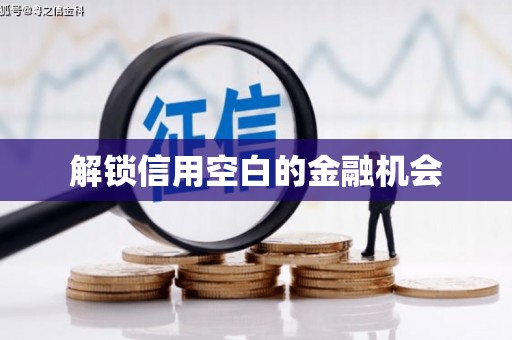 乐东解锁信用空白的金融机会
