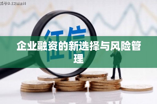 韩城企业融资的新选择与风险管理