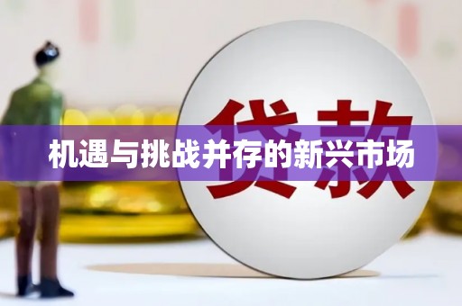 阳曲机遇与挑战并存的新兴市场