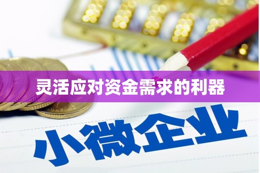 芒市灵活应对资金需求的利器