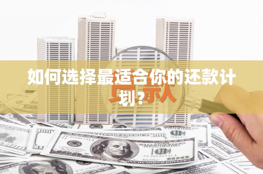 南开如何选择最适合你的还款计划？