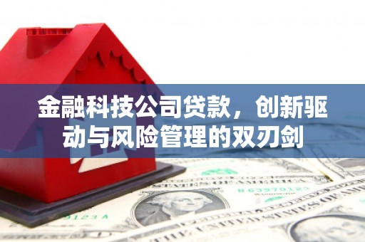 乐东金融科技公司贷款，创新驱动与风险管理的双刃剑